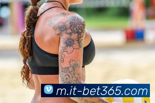 App Interface Preview